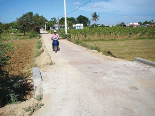 Ha Nam province urged to step up new rural development - ảnh 1